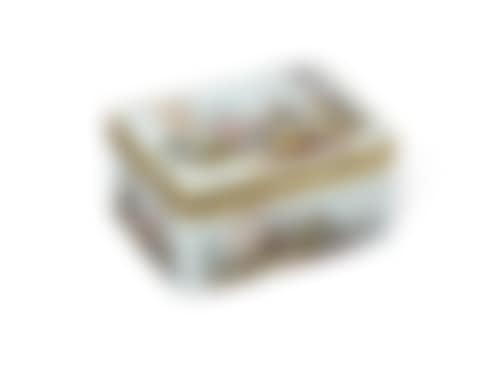 A SILVER-GILT-MOUNTED MEISSEN RECTANGULAR SNUFF-BOX AND COVER (preview)