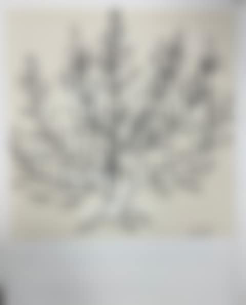 Le buisson (preview)