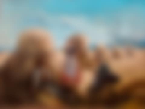 Rest of the harvesters (preview)