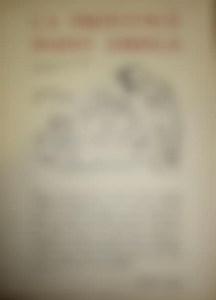 Poster "Provence point Omega" René Char February (preview)