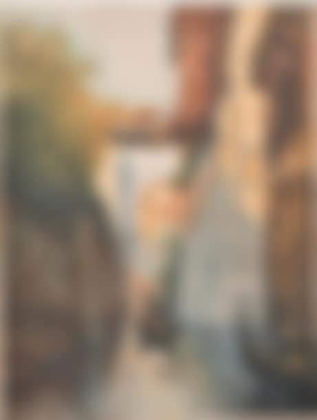 Venice (preview)