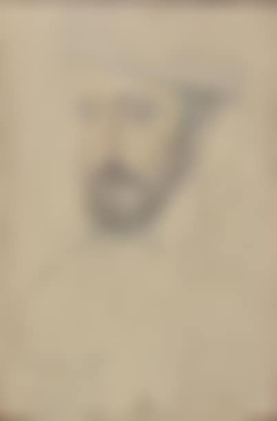 Portrait of Henry II (preview)