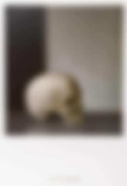 Schädel (preview)