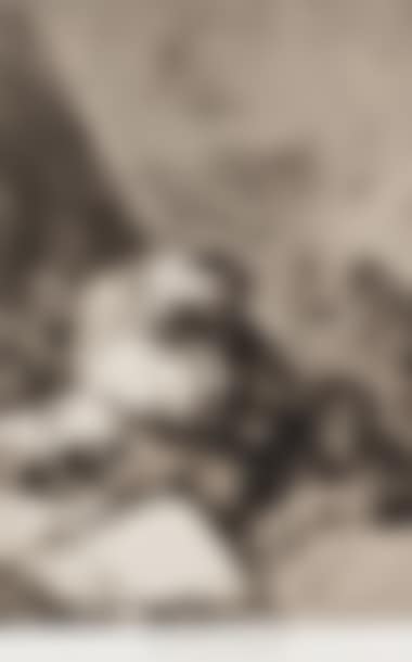 Correction. (Los Caprichos, pl. 46) (preview)