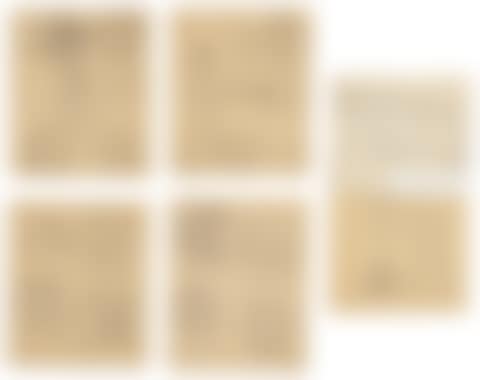 "Studies for the Provincial Council Hall of Trento" (preview)