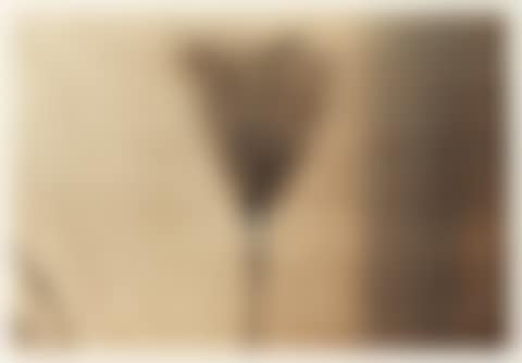 Genevieve 2000 (preview)