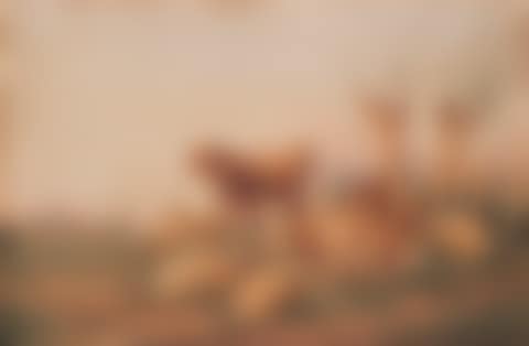 "Herds in the pasture" (preview)