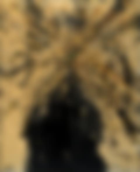 Brise ice" (preview)