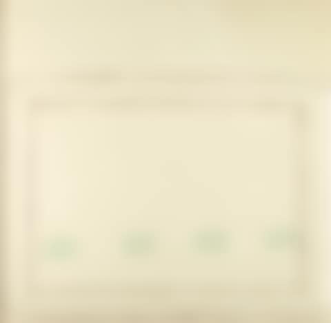 "Untitled"; "Untitled" (preview)