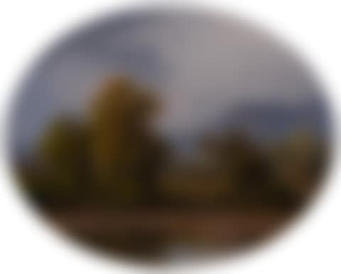 "Landscape" (preview)