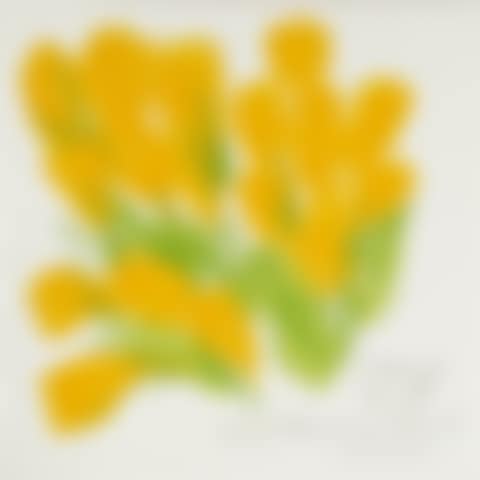 CROCUSES FOR SUMMER (preview)