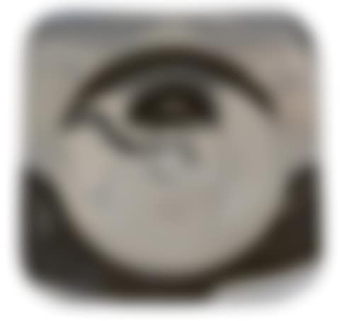 SILVERED PORCELAIN CHARGERS; "Dedalo" (preview)