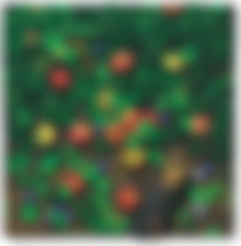 Fallen Fruit (Frutta Cadurta) (preview)