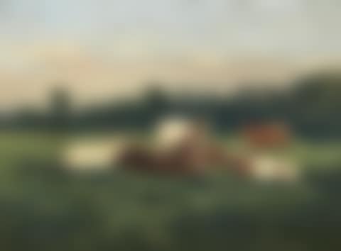 Cows in the meadow (preview)
