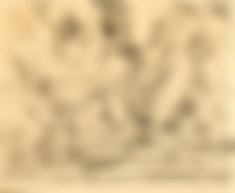 Landscape (preview)