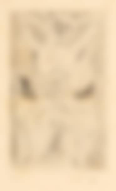 The No-necks; The No-Neck (Frontispiece) (preview)