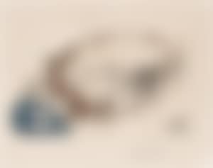Vision of the Paraíso (preview)