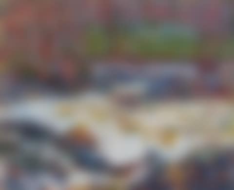 The Rushing Stream (preview)