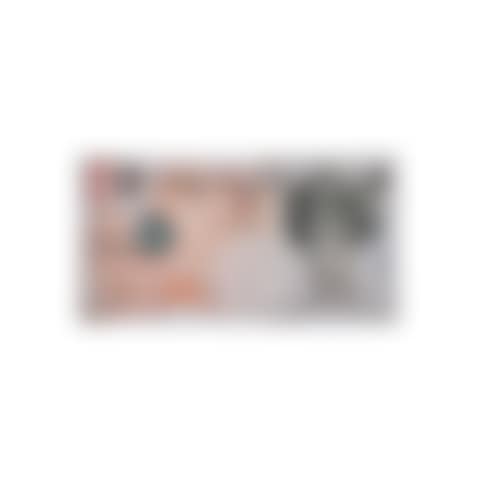 Banksy Di-Faced Tenner (Banksy 10-pound bank note) (preview)
