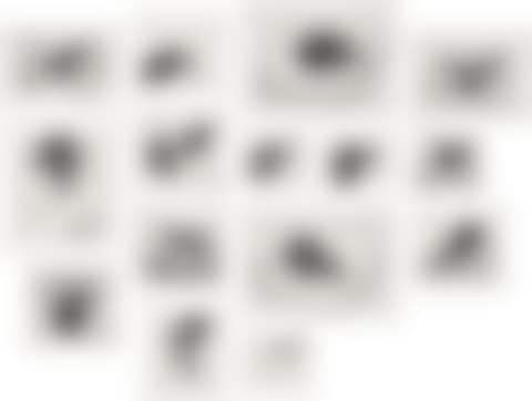 Dog Wall (preview)