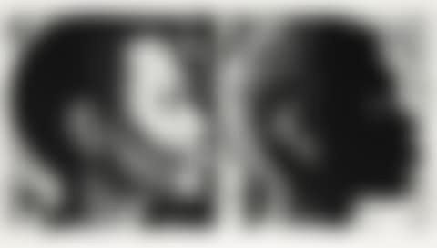Double Profile (preview)