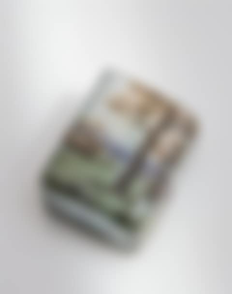 Enamel and Cameo Glass Miniature Landscape Vase (preview)