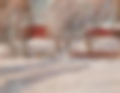 Rural Winter Landscape (preview)