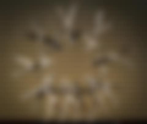 Circle of Life (preview)