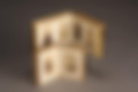 Civil War Album of Albumen Cartes de Visite Portraits of President Lincoln, Mary Todd Lincoln, Union Generals and Others (preview)