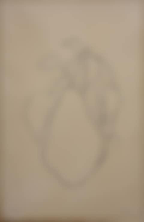 Pear I (Axsom 45) (preview)