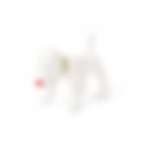 DOGGY RADIO (preview)