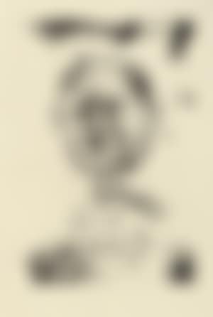 Bearded man (preview)