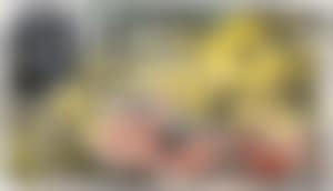 Large recumbent (preview)