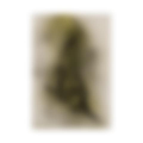 Sans titre (Gesti vegetali) (preview)