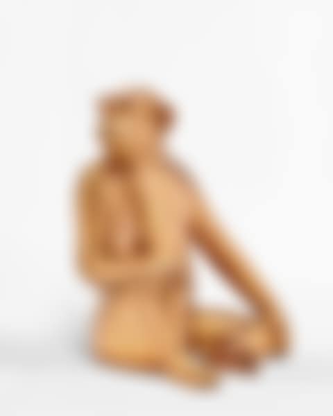 Singe Avisé (moyen) (preview)