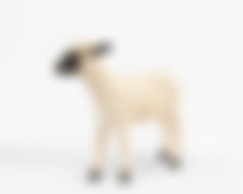 Agneau, Série Les Nouveaux Moutons (preview)
