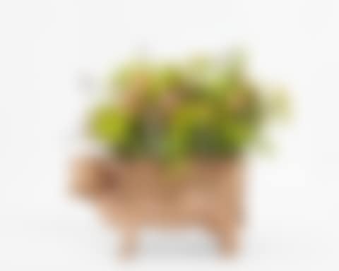 Petite Vache Fleurie (preview)