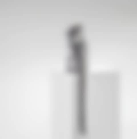 Singe Alternatif IV (preview)