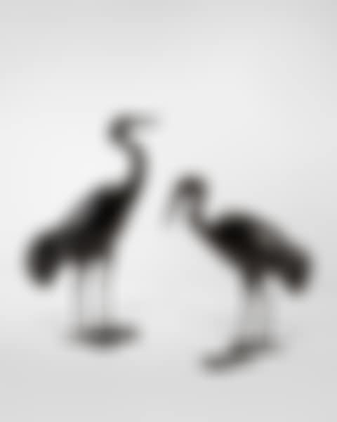 Les Deux Grues (preview)