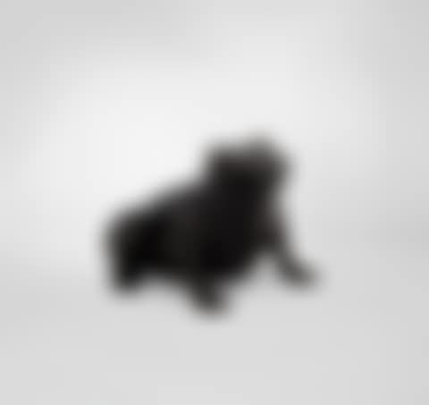 Grenouille Fontaine (preview)