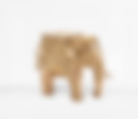 Éléphant de Pauline (preview)