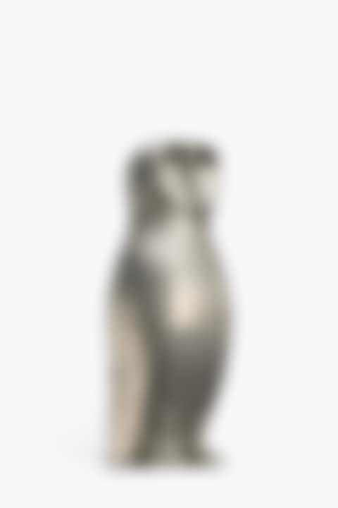 Chouette (preview)