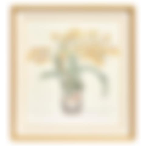 A DIANNE FEINSTEIN DRAWING; "Orchids 2001." (preview)