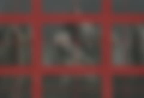 Red Rationality: Revision of Idols (preview)