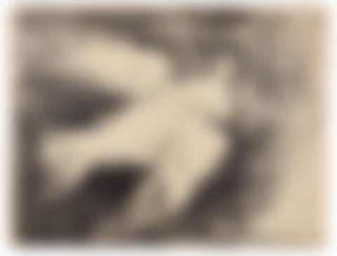 La Colombe volante, fond noir (preview)