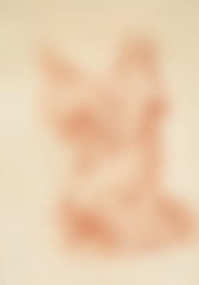 Virgin Mary kneeling in adoration (preview)