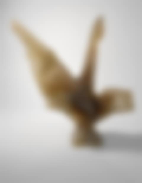 A BIRD (preview)