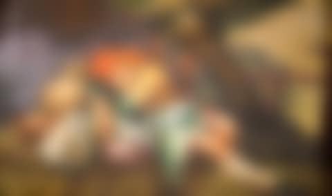 SLEEPING TRAVELER (preview)
