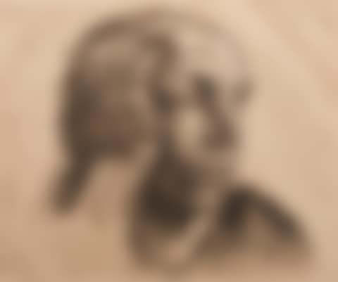 SELF PORTRAIT (preview)