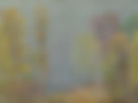 Landscape (preview)
